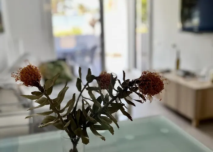 Apartamento Estupendo Con Dos Maspalomas (Gran Canaria)